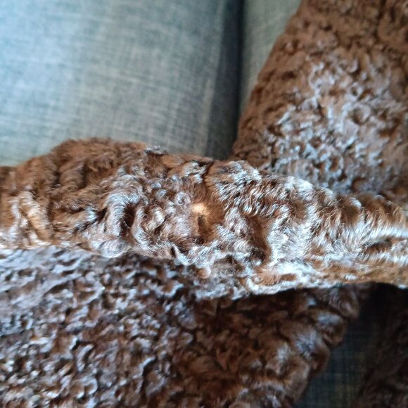 Vintage Dark Brown Persian Lamb Stroller Coat Jacket Fur Collar Faux Pockets 60s - Picture 12 of 16